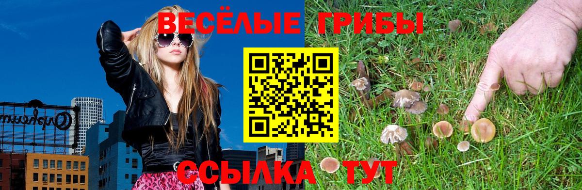 Курчатов  купить наркотик  Вход с VPN  Галлюциногенные грибы MAGIC MUSHROOMS  Галлюциногенные грибы MAGIC MUSHROOMS 